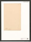 Diatomeae indet. Zeichnungen Sammlung Grunow (NHMW-BOT-W0370815)